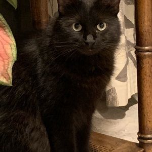 Meet your Posher, William